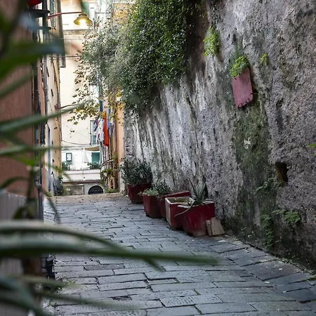 Piccola * Генуя